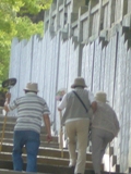 f0143521_196538.jpg