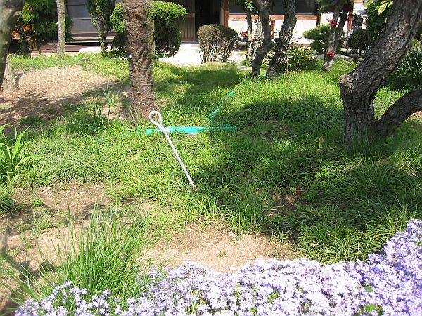 「開花」それは5代目レガシィの誕生_f0076731_15153430.jpg