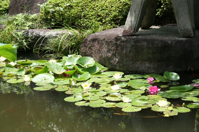 f0174244_21534447.jpg