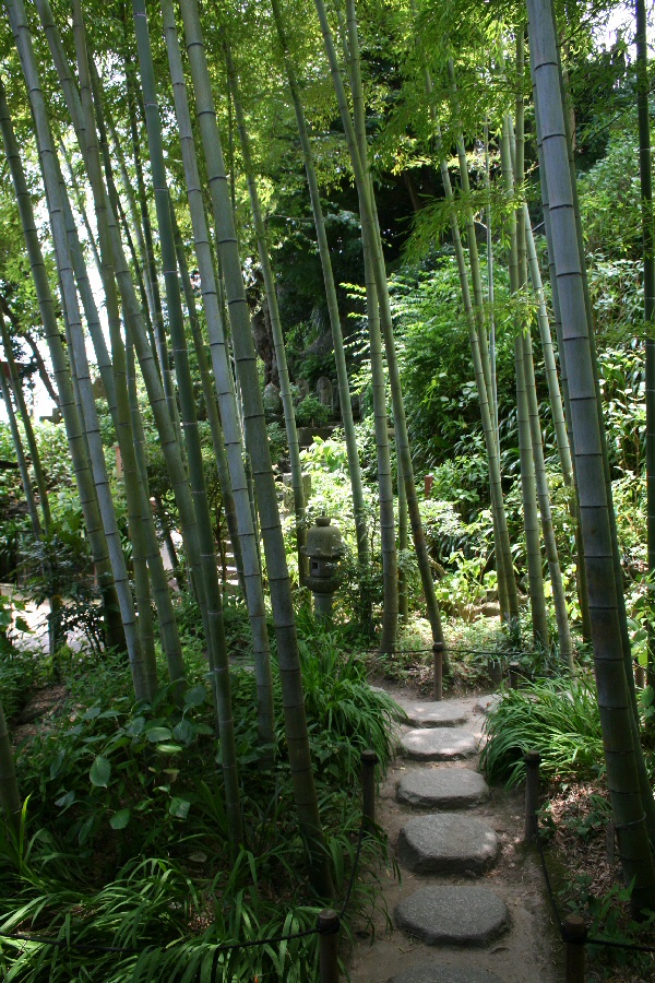 f0174244_21542514.jpg