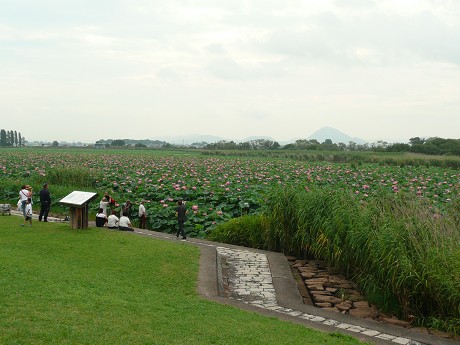 c0057946_22335644.jpg