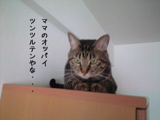 f0116546_0452128.gif