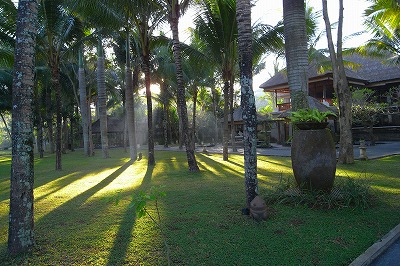 バリ島旅行 ～ UBUD VILLAGE RESORT ＆ SPA_f0013251_2321014.jpg