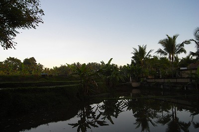 f0013251_2424940.jpg