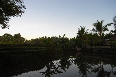 バリ島旅行 ～ UBUD VILLAGE RESORT ＆ SPA_f0013251_2424940.jpg