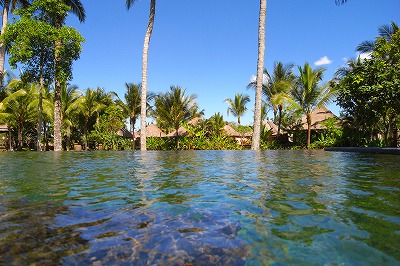 バリ島旅行 ～ UBUD VILLAGE RESORT ＆ SPA_f0013251_2452924.jpg