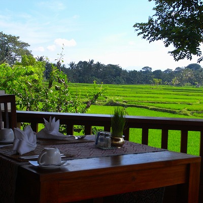 バリ島旅行 ～ UBUD VILLAGE RESORT ＆ SPA_f0013251_2464422.jpg