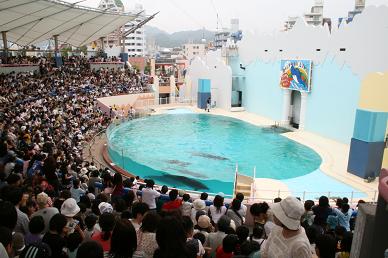 水族園で遊ぶ_e0036459_21313137.jpg