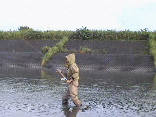 f0084561_16173779.gif