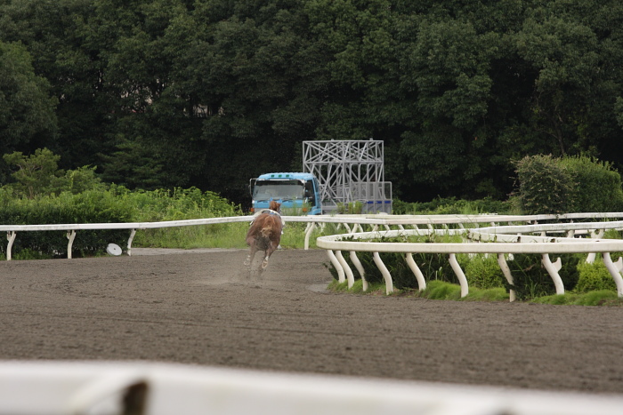 2009年7月25日（土） 高知競馬 2R E8 レース_a0077663_1936441.jpg