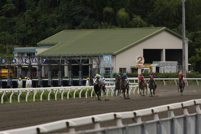 2009年7月25日（土） 高知競馬 2R E8 レース_a0077663_1937661.jpg