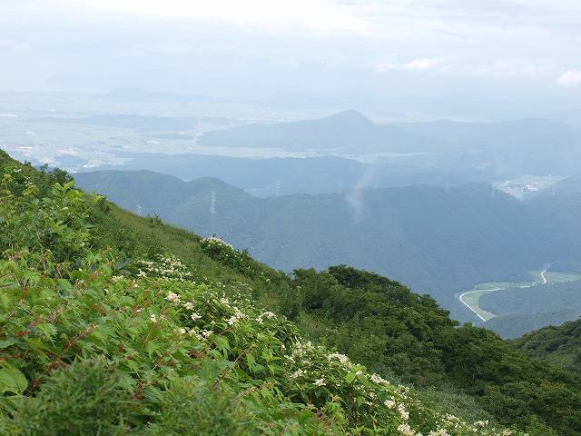 伊吹山のお花畑_b0135573_835717.jpg