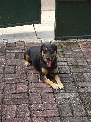 c0175883_05239.jpg