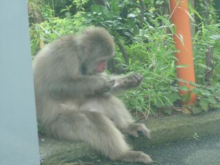 今日の現調から_b0098584_1420511.jpg