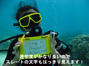 今日は嬉しいことがいっぱい!!_f0144385_148519.jpg