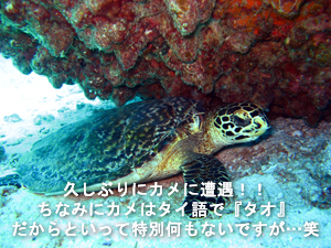 今日は嬉しいことがいっぱい!!_f0144385_1565977.jpg