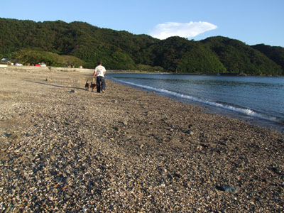 眩しいっ！_e0028387_22545112.jpg
