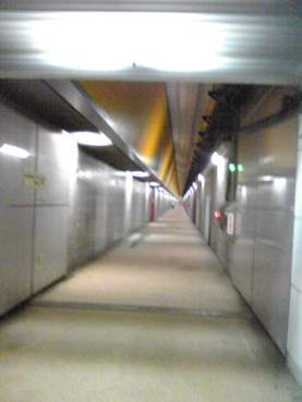 a0045293_1653472.jpg