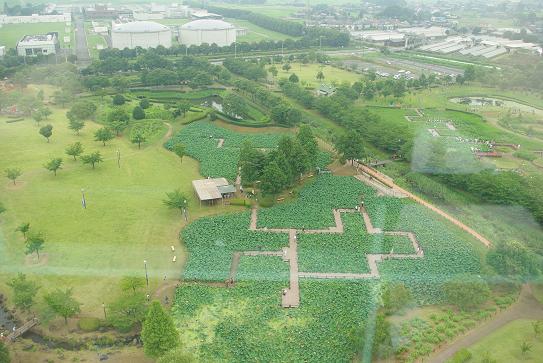 古代蓮の里　その③_a0059395_15193422.jpg