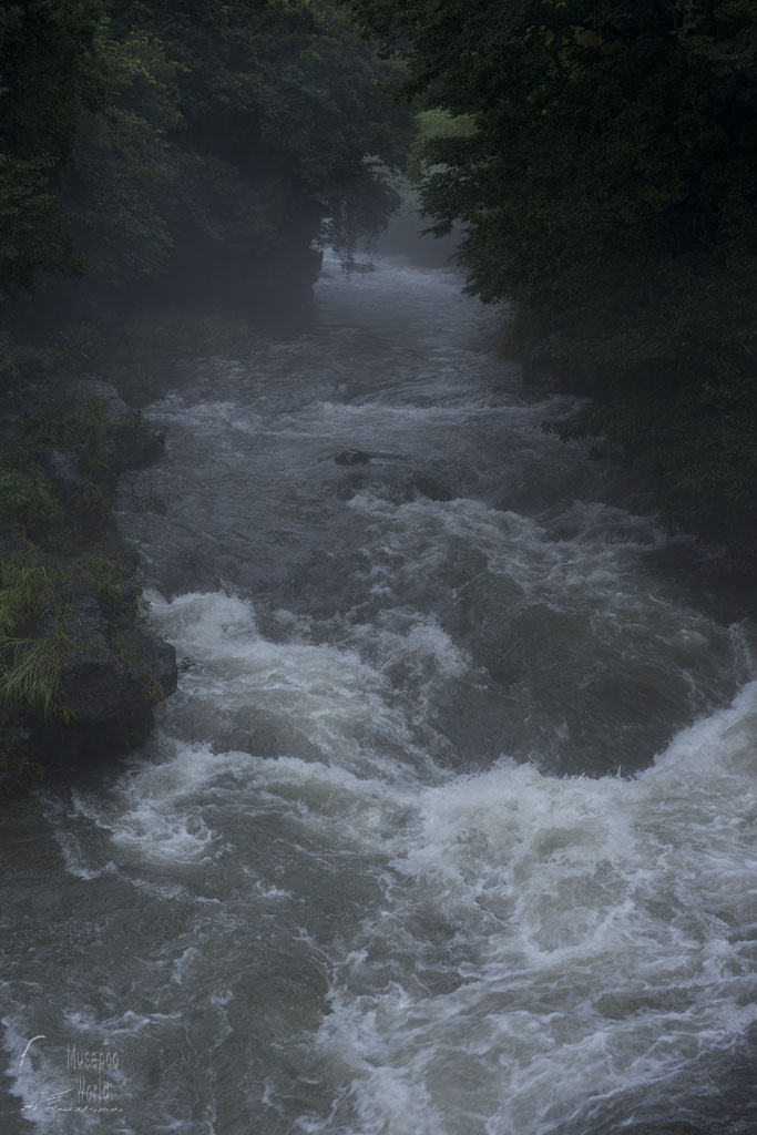 雨で増水_b0064396_17385741.jpg