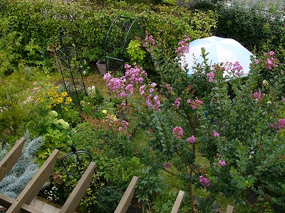 a0123003_18373310.jpg