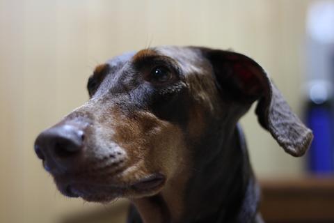 e0100007_10384198.jpg