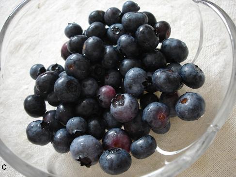 blueberry☆_d0140411_18492661.jpg