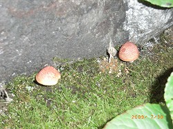 f0110413_1728105.jpg