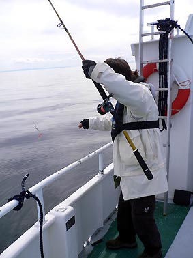 ノルウエーの島 第四回 釣り_d0062721_0113762.jpg