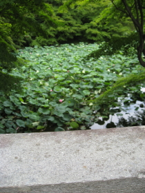 b0147224_22493699.jpg
