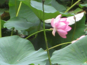 b0147224_22525779.jpg
