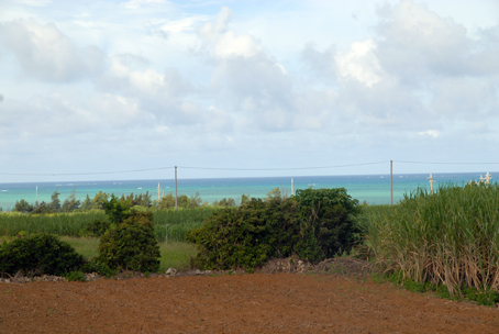 d0112024_14573435.jpg