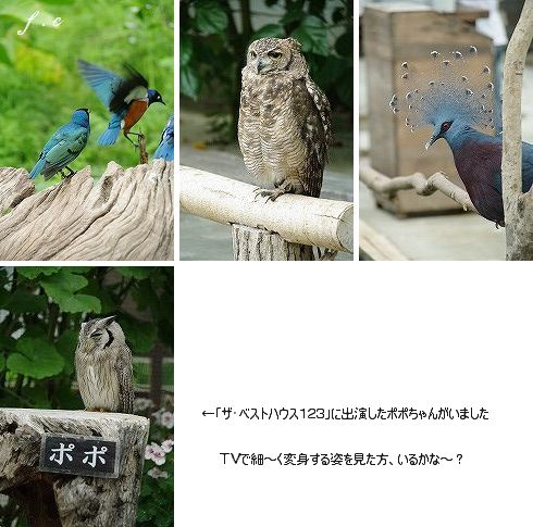 夏休み 前半・・・_c0093830_16524738.jpg