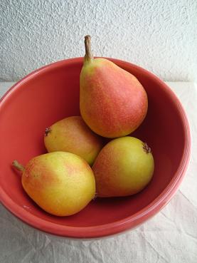 e0120938_71633.jpg