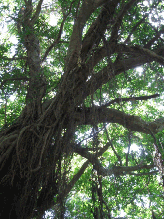 f0057456_8343847.gif