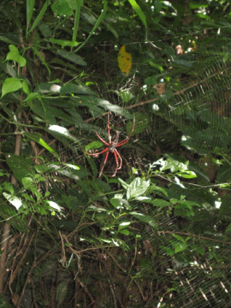 f0057456_8345120.gif