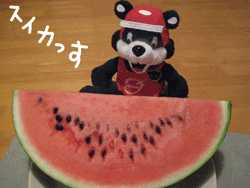 b0159557_22421467.gif
