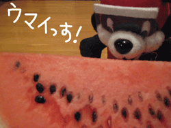 b0159557_22451042.gif