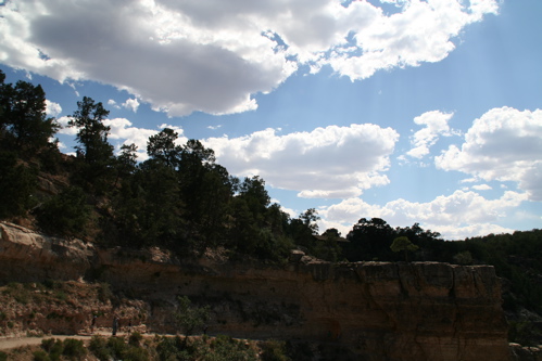 f0141867_11553026.jpg