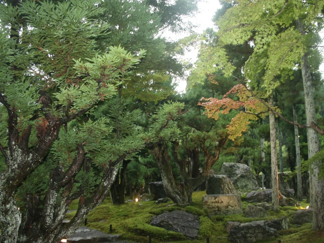 f0088569_20131669.jpg