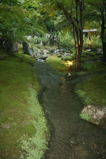 f0088569_20235766.jpg