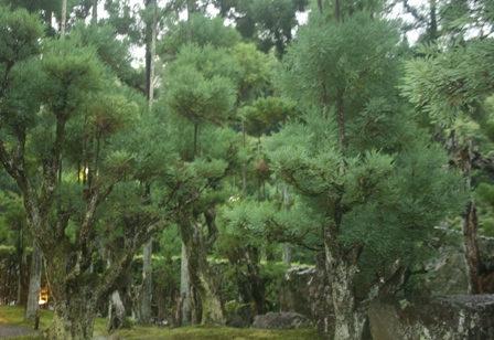 f0088569_20282237.jpg