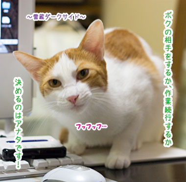 a0119470_0443511.jpg