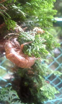 f0177670_615276.jpg