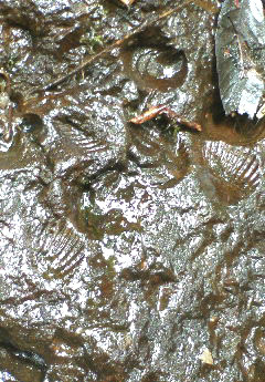 e0118274_21253324.jpg