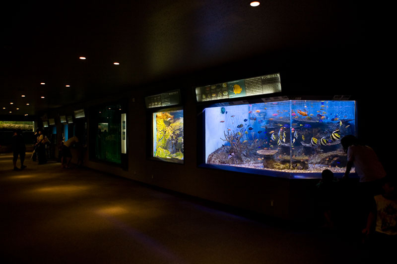 c0152779_13153976.jpg