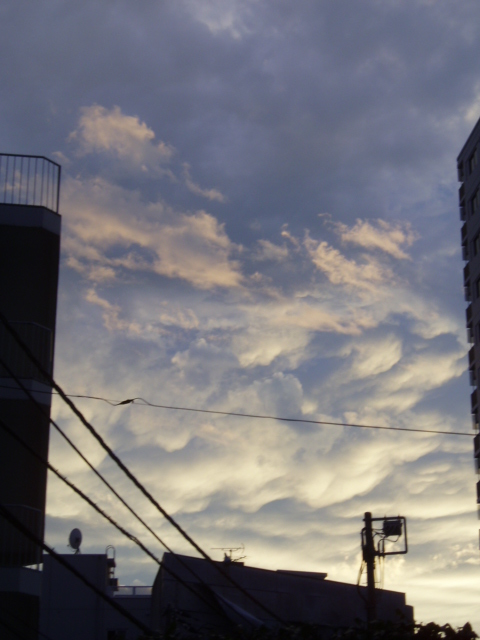 b0113483_1835237.jpg