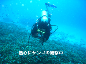 癒されてください！ラチャノイ島_f0144385_2119518.jpg