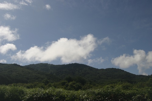 b0173886_15304337.jpg
