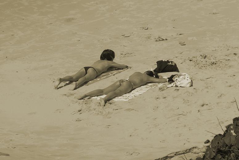 c0150986_77291.jpg
